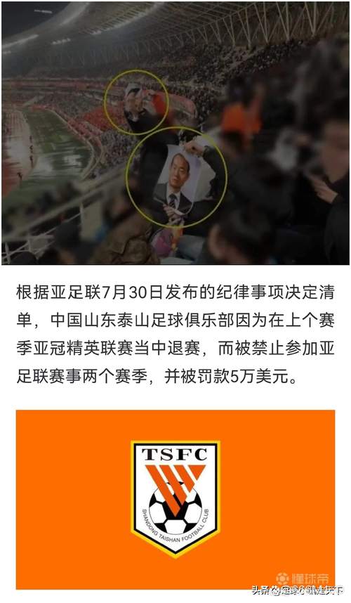 媒体人谈争议判罚：记得足协是不评议足协杯，只评议三级联赛的