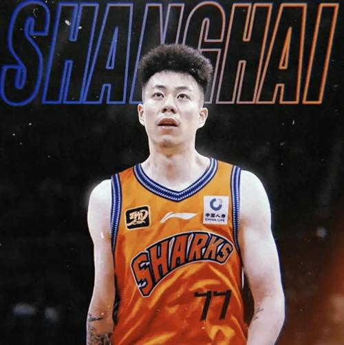 痛击队友！张镇麟飞身上篮时一肘将队友王哲林击倒