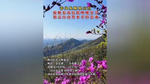 同曦晒对吉林海报：第37回白山黑水显峥嵘长白山下我为峰