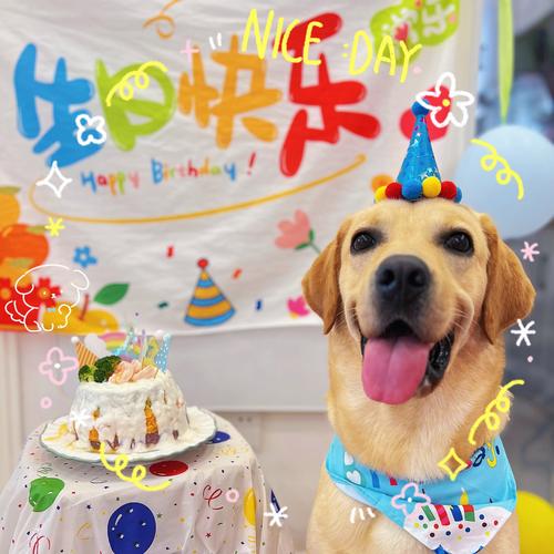 马纳法生日快乐