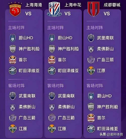 媒体人：三中超队在亚冠精英联赛对手完全一致，是否会牵手合作